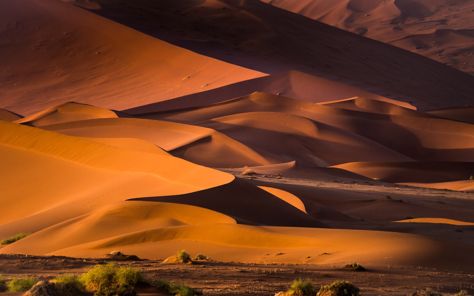 Die Namib, die älteste Wüste der Welt