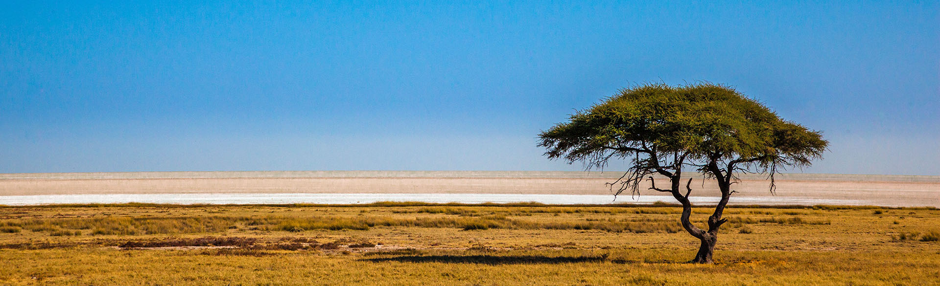 etosha