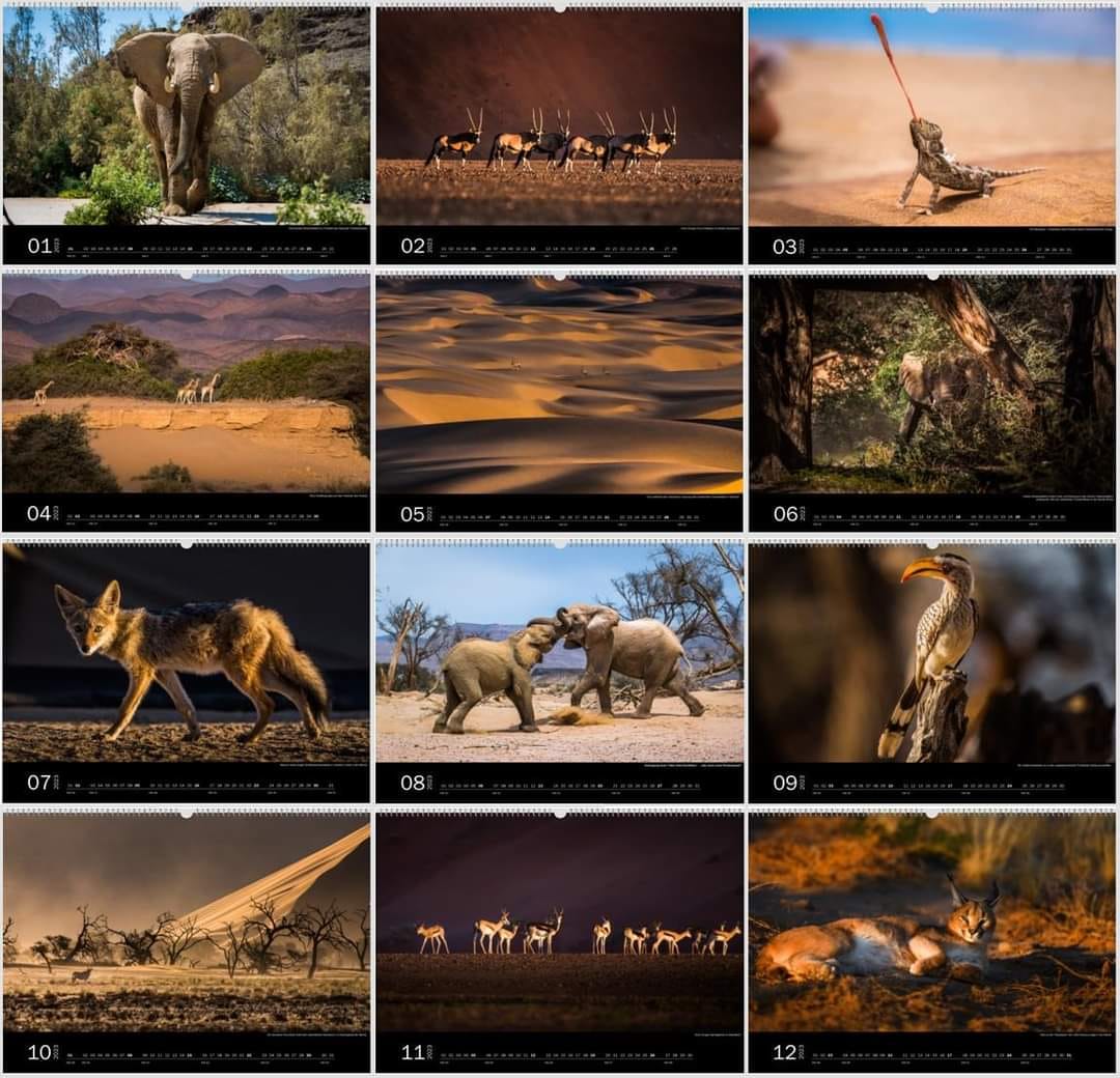 Kalender-Thema: Tiere in der Wüste