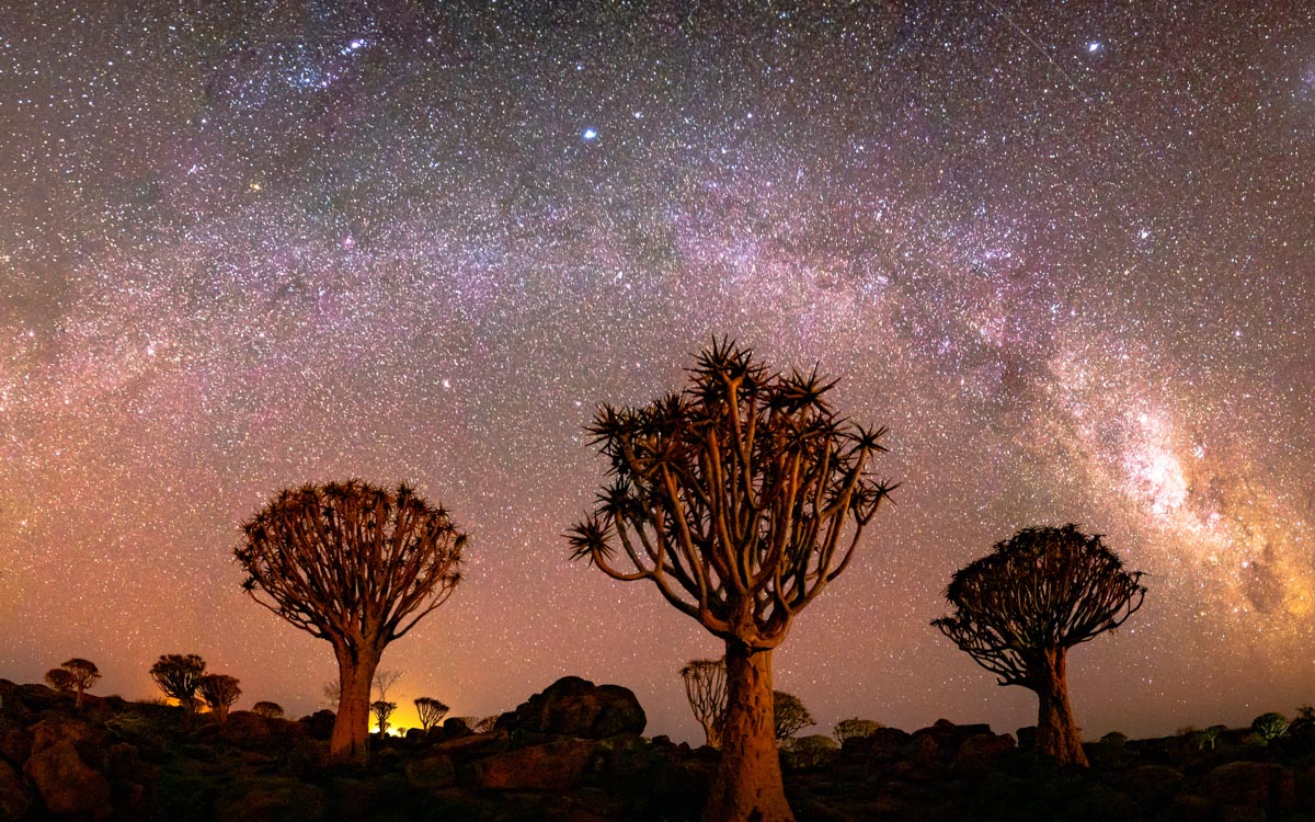 Quivertree forest under the milkyway near Ketmanshoop in Namibia